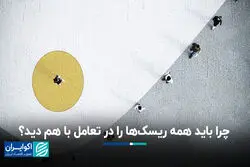 چرا باید همه ریسکها را در تعامل با هم دید؟