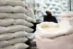 ورود برنج پاکستانی تا ۱۲ روز آینده/ کمبودی در کالاهای اساسی وجود ندارد