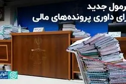 فرمول جدید برای داوری پرونده‌های مالی
