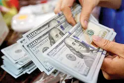 پیشروی قیمت دلار ادامه یافت/ ابزار عرضه کارایی خود را از دست داده است