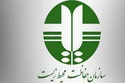 استخدام سالانه ۷۰۰ نیرو در دستور کار سازمان محیط‌زیست