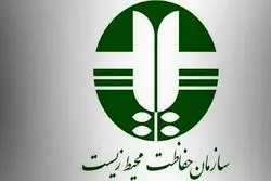 استخدام سالانه ۷۰۰ نیرو در دستور کار سازمان محیط‌زیست