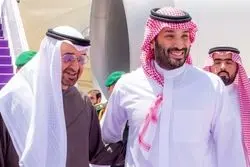 امارات پرونده تازه‌ای علیه ایران باز کرد/ ائتلاف ضدایرانی در شورای دریانوردی