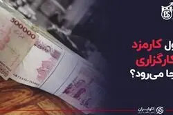 کیسه‌ای که دولت برای کارگزاری‌ها دوخت