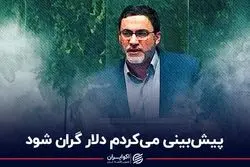 پیش‌بینی می‌کردم دلار گران شود