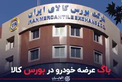 باگ عرضه خودرو در بورس کالا