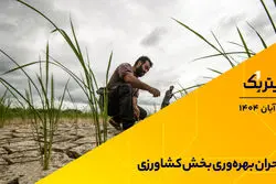 بحران بهره‌وری بخش کشاورزی