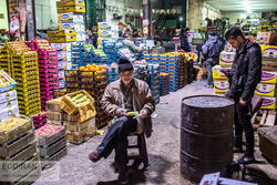 شکستن طلسم ۸ ساله؛ صادرات کشاورزی از مرز رکورد عبور کرد