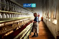 پشت پرده زندگی ۱۳۸ میلیون کودک؛ جهان در مبارزه با کار کودک شکست خورده است؟