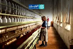 پشت پرده زندگی ۱۳۸ میلیون کودک؛ جهان در مبارزه با کار کودک شکست خورده است؟
