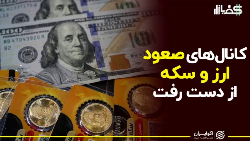 یک آرژانتینی دلار را نزولی کرد