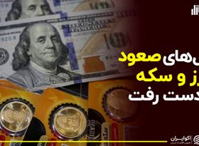 یک آرژانتینی دلار را نزولی کرد