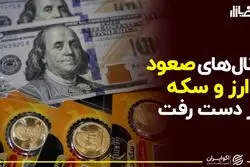 کانال‌های صعود ارز و سکه از دست رفت