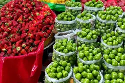 گوجه سبز  120 هزار تومان! / گوجه گیلاسی تا ۵۴ هزار تومان بالا رفت