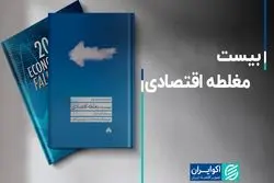 بیست مغلطه اقتصادی