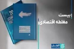 بیست مغلطه اقتصادی