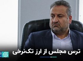 عضو کمیسیون برنامه و بودجه مجلس: تلاش دولت برای تک‌نرخی کردن ارز با خطر افزایش تورم همراه است