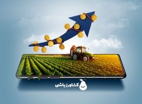 اهمیت و تاثیر مشاوره کشاورزی بر رشد اقتصادی