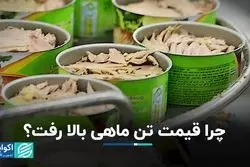 چرا قیمت تن ماهی بالا رفت؟