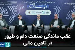 عقب ماندگی صنعت دام و طیور در تامین مالی