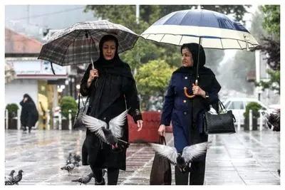 هشدار فوری هواشناسی؛ وزش باد شدید و رگبار در چند استان