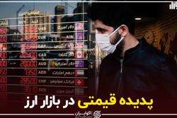پدیده قیمتی در بازار ارز