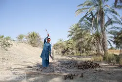 سرمایه‌گذاری آفریقا در روستاهای ایران؛ از انرژی خورشیدی تا صنایع‌دستی