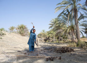 سرمایه‌گذاری آفریقا در روستاهای ایران؛ از انرژی خورشیدی تا صنایع‌دستی
