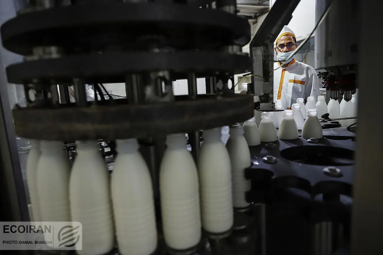 لبنیات گران‌تر می‌شود؟