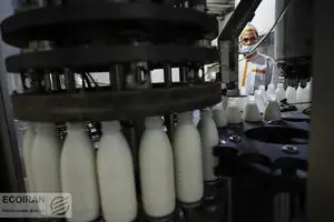 لبنیات ارزان به بازار می‌آید/ قیمت جدید مشخص شد