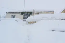 این مناطق منتظر برف و باران باشند + لیست استان ها