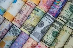 تاثیر گرانی جو بر نرخ گوشت/ جو داخلی مشمول قیمت‌گذاری نیست