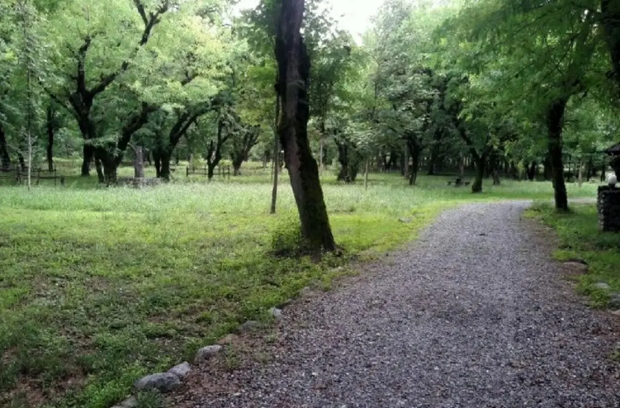 تلاش برای بازگشت حق‌آبه بوستان سرخه حصار از سد لتیان؛ کاشت ۳۳ هزار درخت در دستور کار