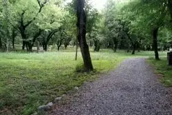 تلاش برای بازگشت حق‌آبه بوستان سرخه حصار از سد لتیان؛ کاشت ۳۳ هزار درخت در دستور کار