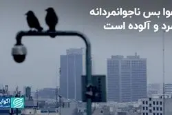 هوا سرد و آلوده، مملکت تعطیل