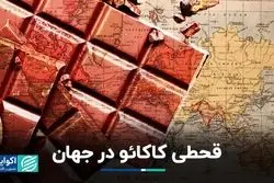 قیمت کاکائو به سقف تاریخی خود رسید