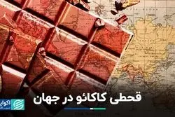 قیمت کاکائو به سقف تاریخی خود رسید