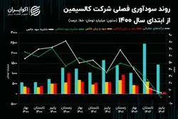سقوط حاشیه سود فصلی کالسیمین!