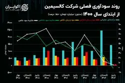 سقوط حاشیه سود فصلی کالسیمین!