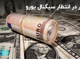 اما و اگرهای شاخص دلار در برابر یورو