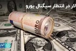 اما و اگرهای شاخص دلار در برابر یورو