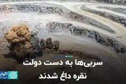 سربی‌ها به دست دولت نقره داغ شدند