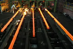 زیان نوردکارن ترک با صعود نرخ برق