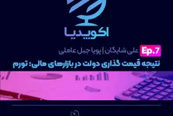قسمت هفتم - نتیجه قیمت گذاری دولت در بازارهای مالی: تورم