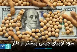 سود لوبیای چیتی بیشتر از دلار