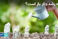 قدرت دلار افزایش پیدا می‌کند؟