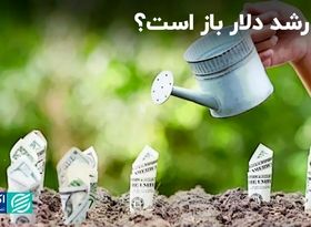 قدرت دلار افزایش پیدا می‌کند؟