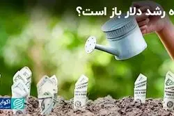 قدرت دلار افزایش پیدا می‌کند؟