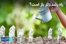 قدرت دلار افزایش پیدا می‌کند؟