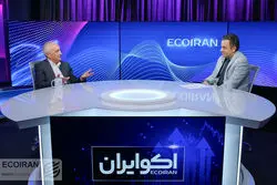 نظر غنی‌نژاد درباره فرهنگ‌سازی مصرف مردم: مسئولان فکرشان را اصلاح کنند